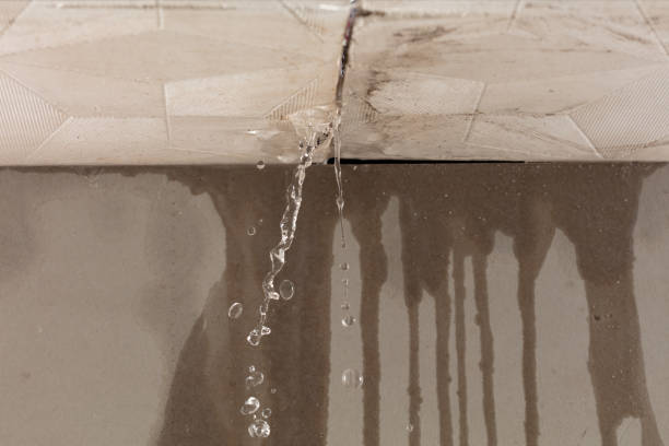 Professional Structural Drying technician working in Clare, IL